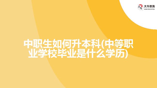 中职生如何升本科(中等职业学校毕业是什么学历)