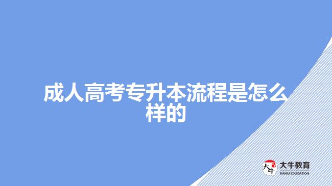 成人高考专升本流程是怎么样的