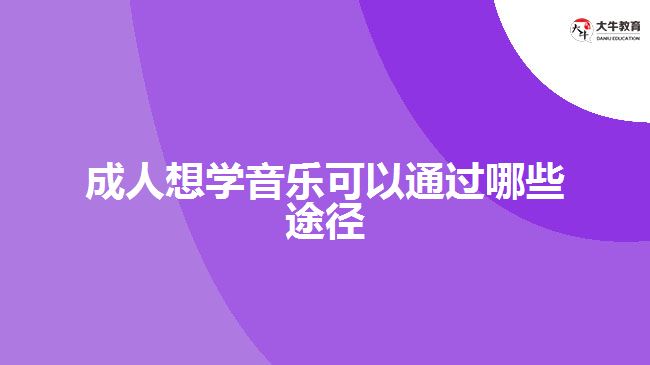 成人想学音乐可以通过哪些途径