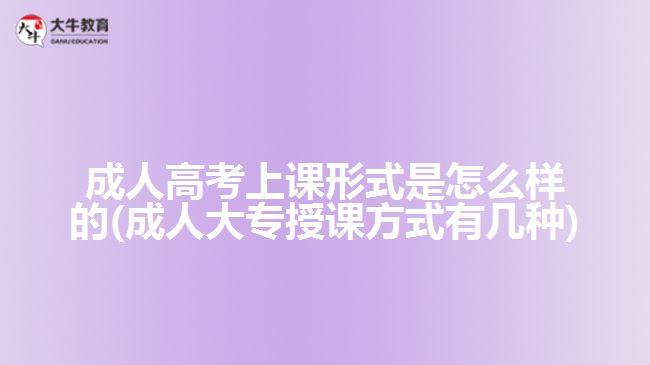 成人高考上课形式是怎么样的(成人大专授课方式有几种)