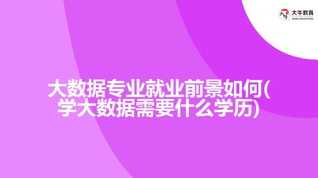 大数据专业就业前景如何(学大数据需要什么学历)