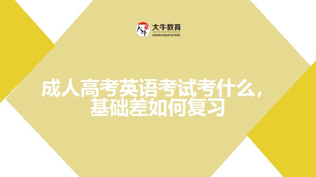 成考英语考什么，基础差如何复习