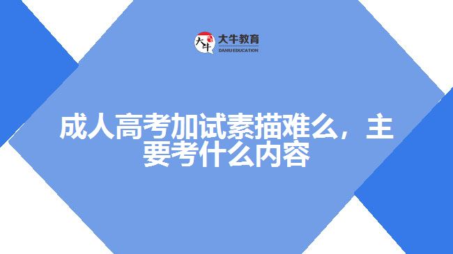 成人高考加试素描难么，主要考什么内容