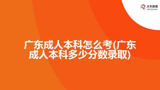 广东成人本科怎么考(广东成人本科多少分数录取)