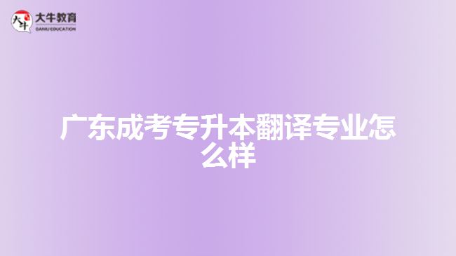 广东成考专升本翻译专业怎么样