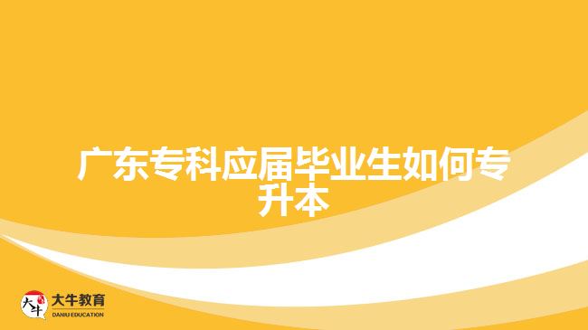 广东专科应届毕业生如何专升本
