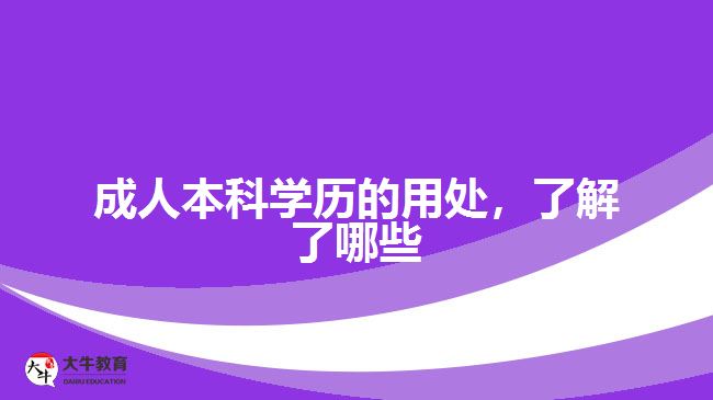 成人本科学历的用处，了解了哪些