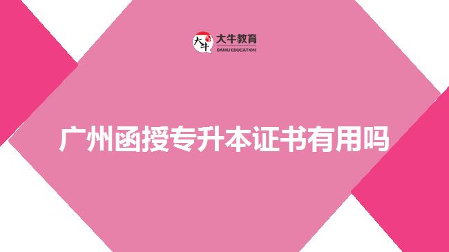 广州函授专升本证书有用吗