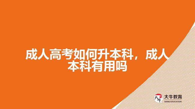 成人高考如何升本科，成人本科有用吗