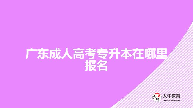 广东成人高考专升本在哪里报名