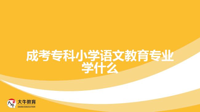 成考专科小学语文教育专业学什么