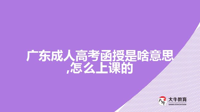 广东成人高考函授是啥意思,怎么上课的