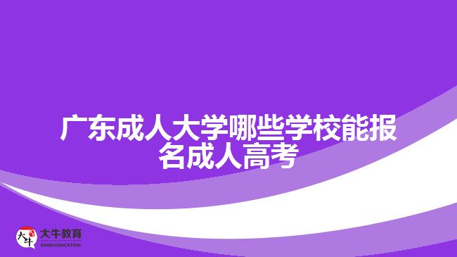 广东成人大学哪些能报名成人高考