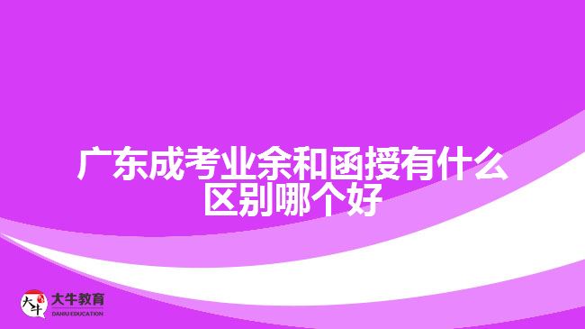 广东成考业余和函授有什么区别哪个好