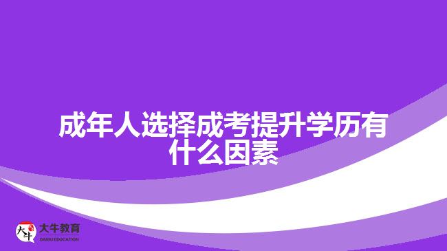成年人选择成考提升学历有什么因素