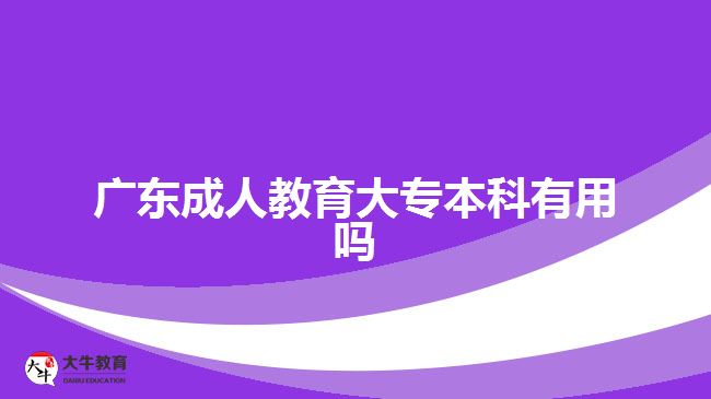广东成人教育大专本科有用吗