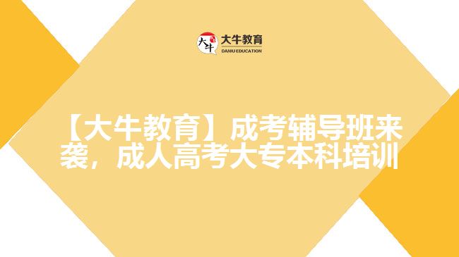 大牛教育成考辅导班来袭