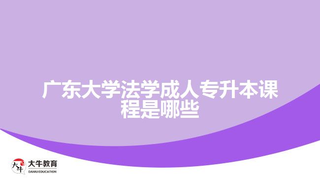 广东大学法学成人专升本课程是哪些