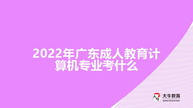 2022年广东成人教育计算机专业考什么