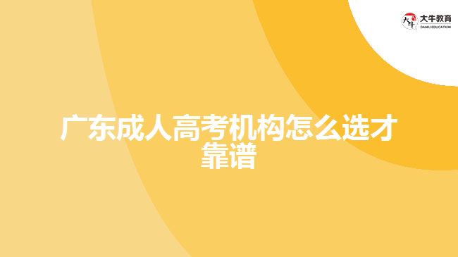 广东成人高考机构怎么选才靠谱