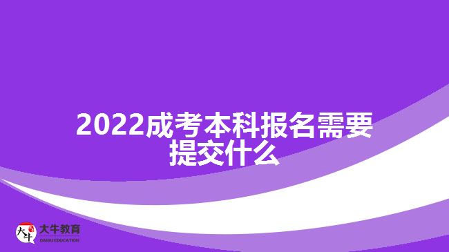 2022成考本科报名需要提交什么