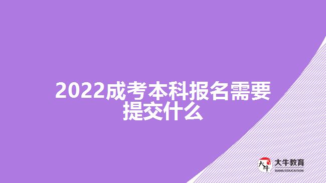 2022成考本科报名需要提交什么