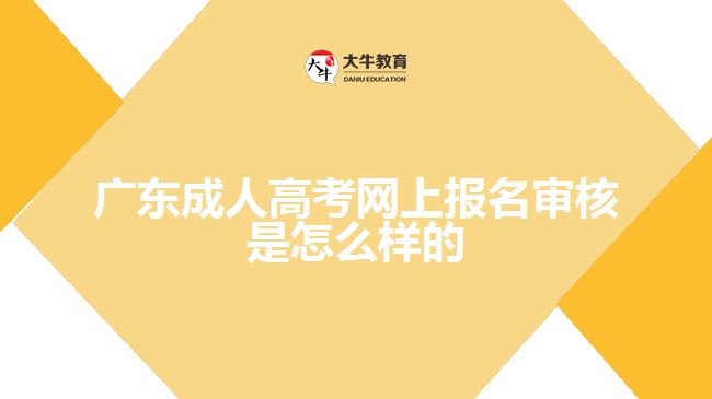 成人高考网上报名审核是怎么样的