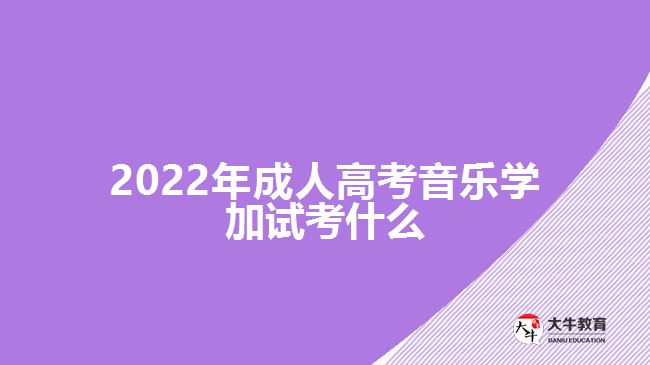 2022年成人高考音乐学加试考什么