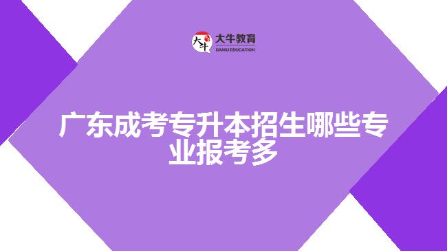 广东成考专升本招生哪些专业报考多