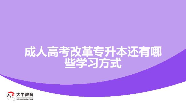 成人高考专升本还有哪些学习方式