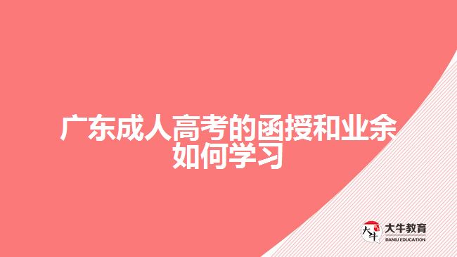 广东成人高考的函授和业余如何学习