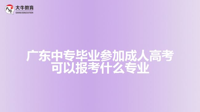 广东中专毕业参加成人高考可以报考什么专业