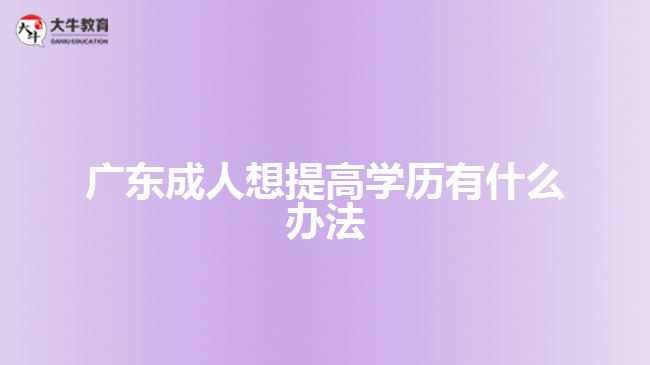 广东成人想提高学历有什么办法