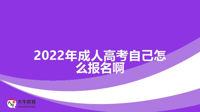 2022年成人高考自己怎么报名啊