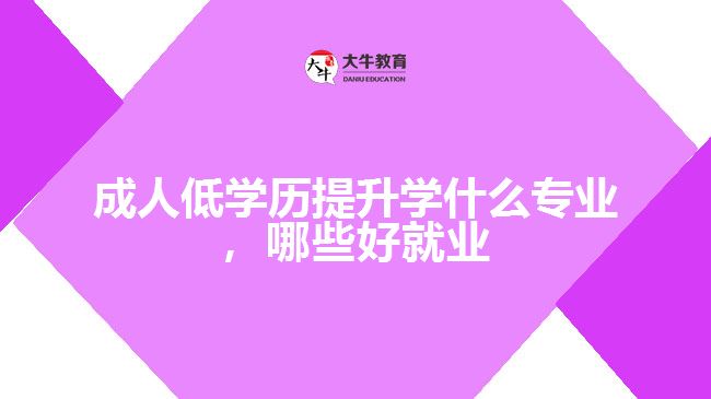 成人低学历提升学什么专业
