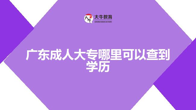 广东成人大专哪里可以查到学历