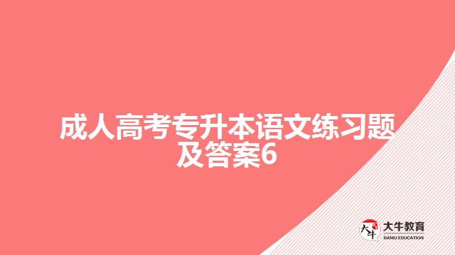 成人高考专升本语文练习题及答案6