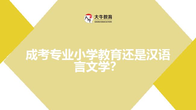 成考小学教育还是汉语言文学？