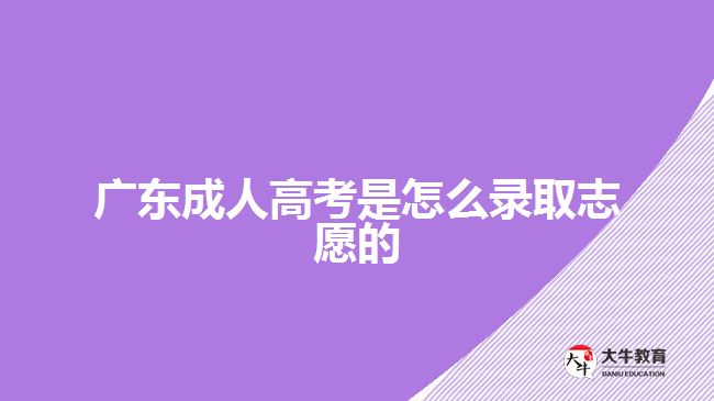 广东成人高考是怎么录取志愿的