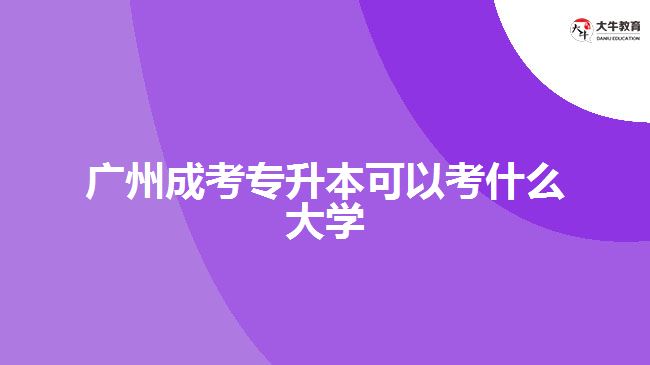 广州成考专升本可以考什么大学