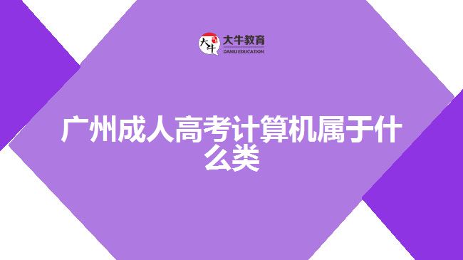 广州成人高考计算机属于什么类