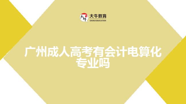 广州成人高考有会计电算化专业吗