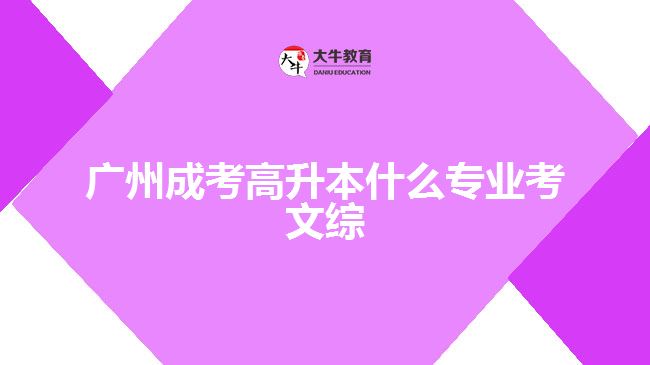 广州成考高升本什么专业考文综