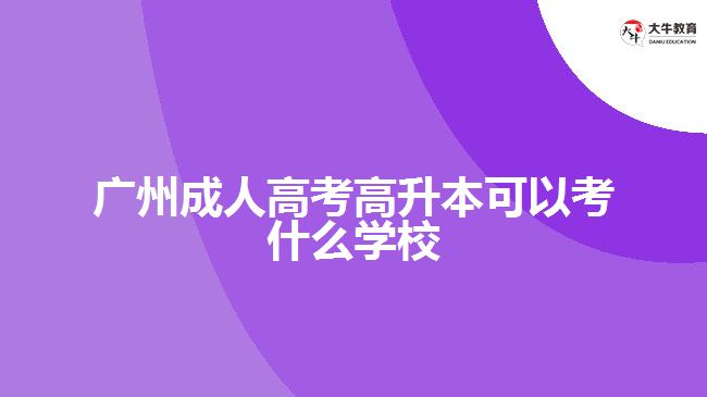 广州成人高考高升本可以考什么学校