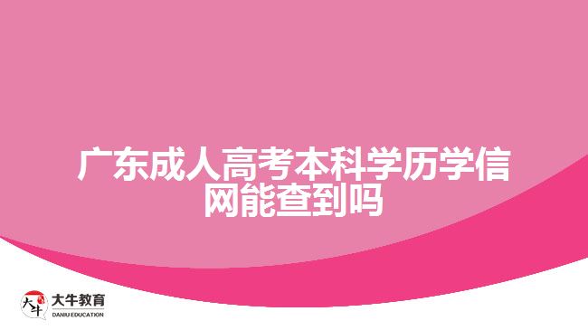 广东成人高考本科学历学信网能查到吗