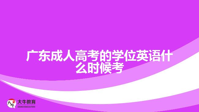 广东成人高考的学位英语什么时候考