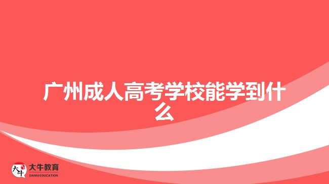 广州成人高考学校能学到什么