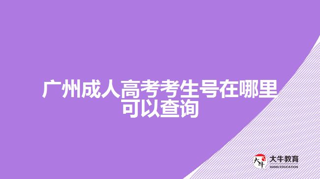 广州成人高考考生号在哪里可以查询