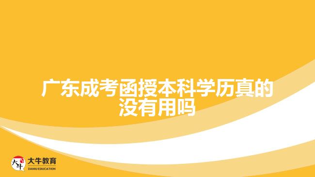 广东成考函授本科学历真的没有用吗