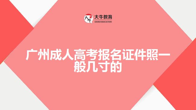 广州成人高考报名证件照一般几寸的